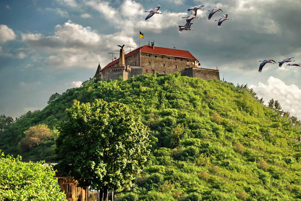 Величие истории. Самые интересные замки Украины для увлекательного путешествия